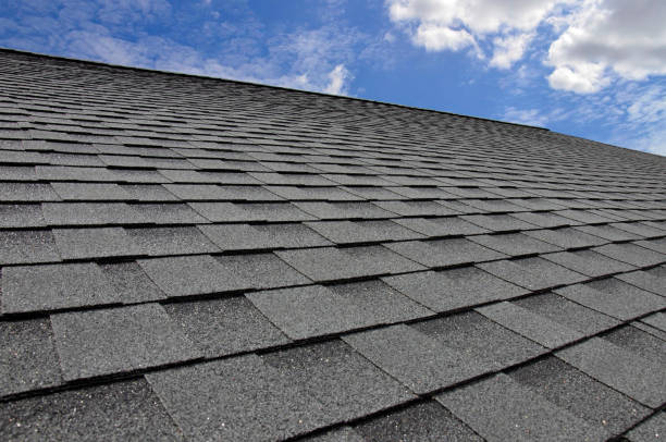 Best Solar Panel Roofing Installation  in Griswold, IA